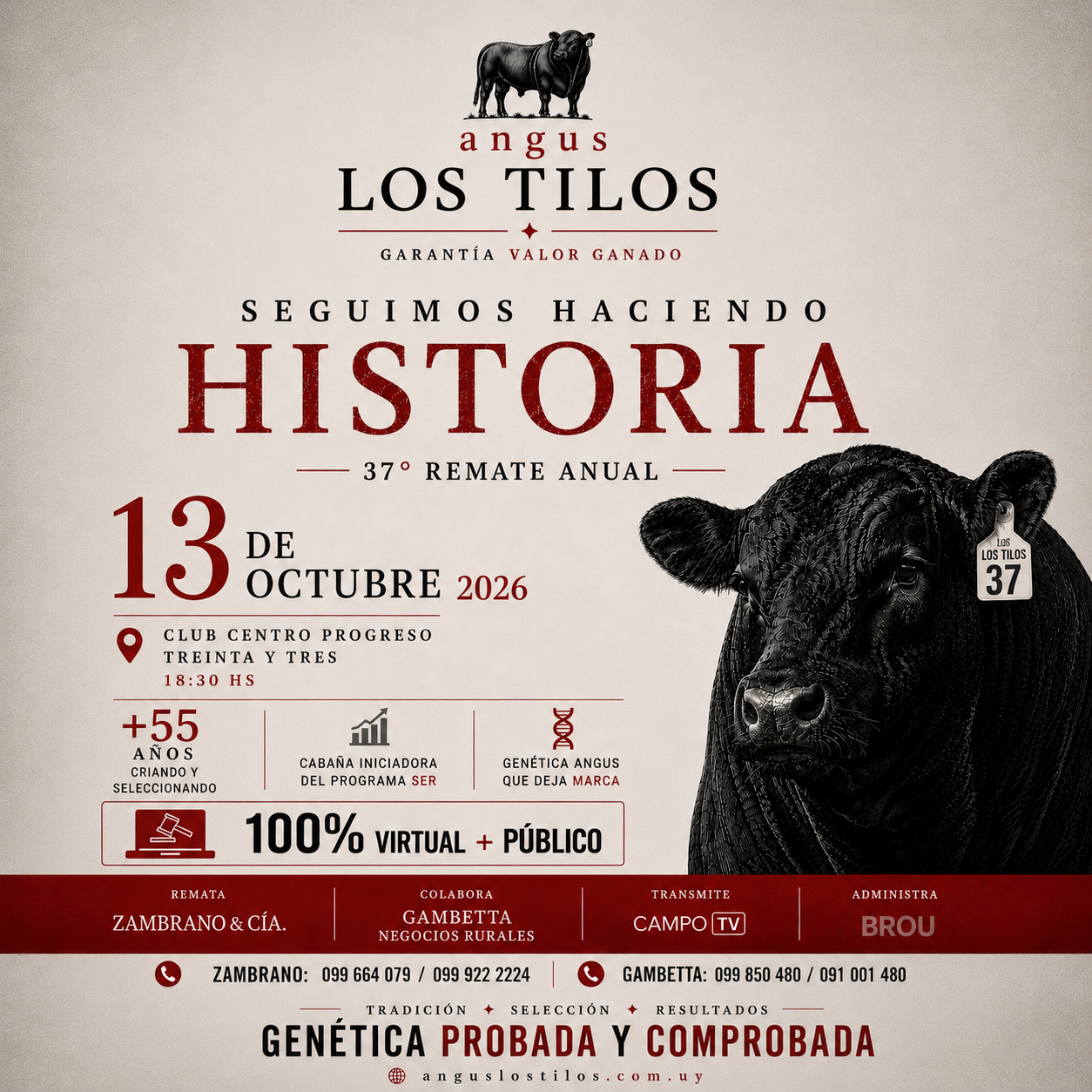 Remate 37 angus LOS TILOS